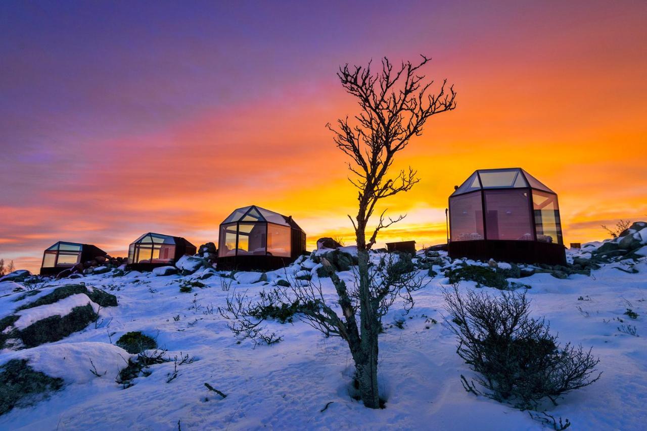 Soderudden Kalle'S Inn Glass Houses מראה חיצוני תמונה
